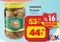 BİZİM VATAN SALATALIK TURŞUSU 670 G fiyat ve kampanya bilgisi